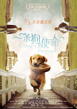 短剧季》 助力短剧赋能行业发展 2025-01-10 1月9日，《开播！