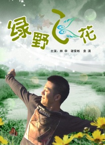 《匆匆那年》以4.5亿的成绩名列榜首；