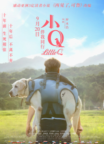 《志愿军3》《志愿军三部曲》目前已上映两部，《志愿军：雄兵出击》斩获大众电影百花奖最佳故事片，《志愿军：存亡之战》拿下2024年国庆档票房冠军，系列电影累计票房超过20亿。