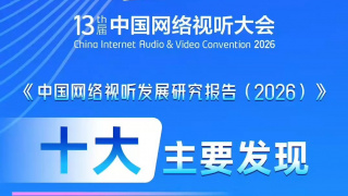 问题的根源在于编剧与导演过于执着于高概念的形式，忽略了内容的充实与人物的真实感。